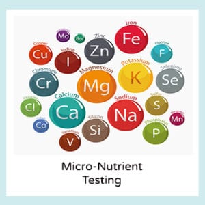 Micro-Nutrient Testing Spectracell