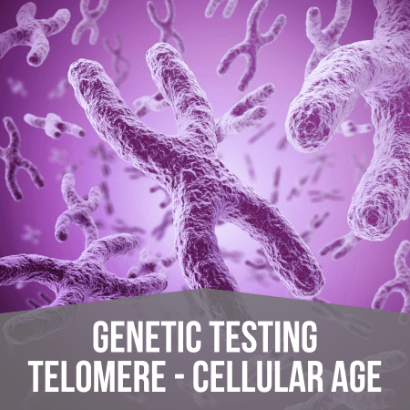 Genetic Testing Telomeres