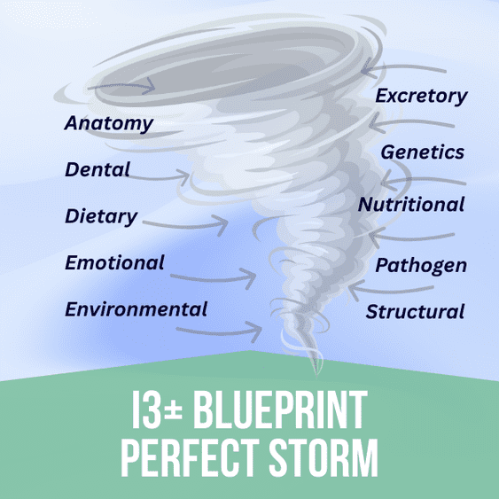 IQS Interrogatory Biofeedback, Quantum Physics, Energy Medicine