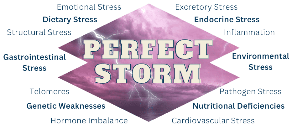 Perfect Storm
